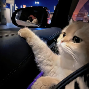 色一情一伦一子一伦一区
